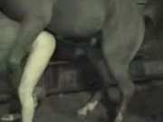 Конь пидроеб трахает мужика